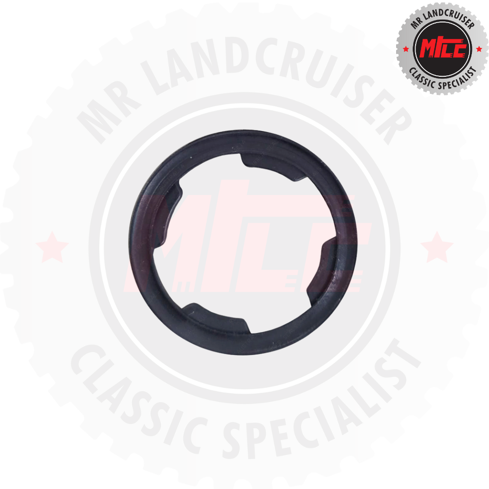 Aftermarket door lock gasket