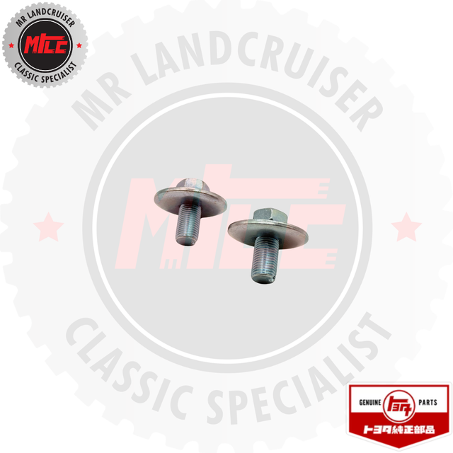 Two metal bolts with a branded logo in the background